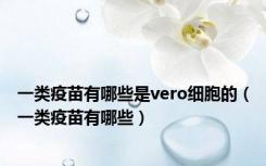 一类疫苗有哪些是vero细胞的（一类疫苗有哪些）