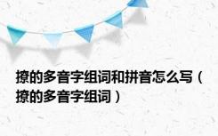 撩的多音字组词和拼音怎么写（撩的多音字组词）