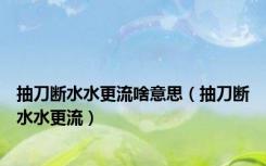 抽刀断水水更流啥意思（抽刀断水水更流）