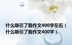 什么吸引了我作文400字左右（什么吸引了我作文400字）