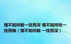 情不知所起一往而深 情不知所终一往而殆（情不知所起 一往而深）