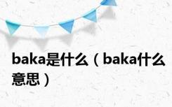 baka是什么（baka什么意思）