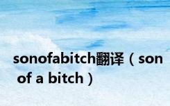 sonofabitch翻译（son of a bitch）