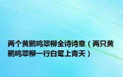 两个黄鹂鸣翠柳全诗诗意（两只黄鹂鸣翠柳一行白鹭上青天）