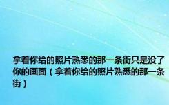 拿着你给的照片熟悉的那一条街只是没了你的画面（拿着你给的照片熟悉的那一条街）