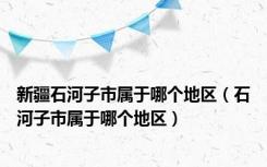 新疆石河子市属于哪个地区（石河子市属于哪个地区）