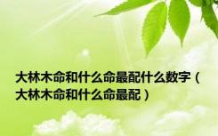 大林木命和什么命最配什么数字（大林木命和什么命最配）