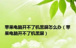 苹果电脑开不了机黑屏怎么办（苹果电脑开不了机黑屏）