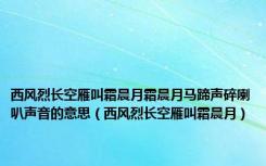 西风烈长空雁叫霜晨月霜晨月马蹄声碎喇叭声音的意思（西风烈长空雁叫霜晨月）