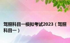 驾照科目一模拟考试2023（驾照科目一）