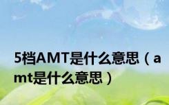 5档AMT是什么意思（amt是什么意思）