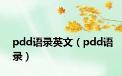 pdd语录英文（pdd语录）