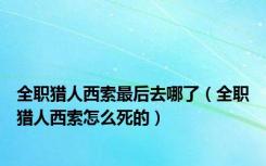 全职猎人西索最后去哪了（全职猎人西索怎么死的）