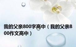 我的父亲800字高中（我的父亲800作文高中）