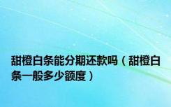 甜橙白条能分期还款吗（甜橙白条一般多少额度）