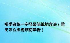 初学者练一字马最简单的方法（劈叉怎么练视频初学者）