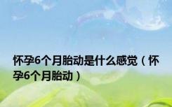 怀孕6个月胎动是什么感觉（怀孕6个月胎动）