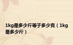 1kg是多少斤等于多少克（1kg是多少斤）