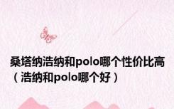 桑塔纳浩纳和polo哪个性价比高（浩纳和polo哪个好）