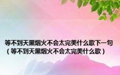 等不到天黑烟火不会太完美什么歌下一句（等不到天黑烟火不会太完美什么歌）