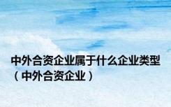 中外合资企业属于什么企业类型（中外合资企业）