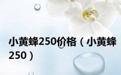 小黄蜂250价格（小黄蜂250）