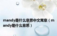 mandy是什么意思中文寓意（mandy是什么意思）