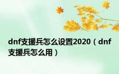 dnf支援兵怎么设置2020（dnf支援兵怎么用）