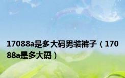 17088a是多大码男装裤子（17088a是多大码）