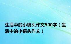 生活中的小镜头作文500字（生活中的小镜头作文）