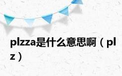 plzza是什么意思啊（plz）