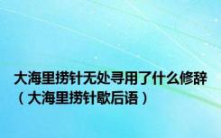 大海里捞针无处寻用了什么修辞（大海里捞针歇后语）