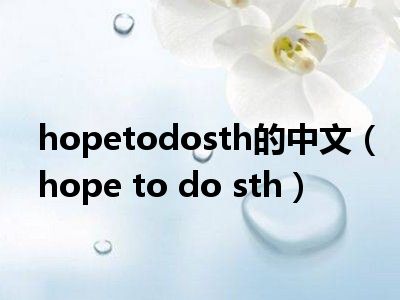 hopetodosth的中文（hope to do sth）