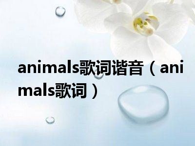 animals歌词谐音（animals歌词）