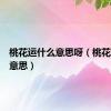 桃花运什么意思呀（桃花运什么意思）