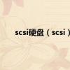 scsi硬盘（scsi）