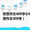 欣赏作文400字小学（欣赏作文400字）