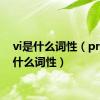 vi是什么词性（prep是什么词性）