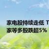 家电股持续走低 TCL智家等多股跌超5%