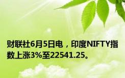 财联社6月5日电，印度NIFTY指数上涨3%至22541.25。