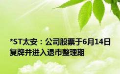 *ST太安：公司股票于6月14日复牌并进入退市整理期