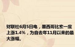 财联社6月5日电，墨西哥比索一度上涨1.4%，为自去年11月以来的最大涨幅。