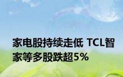 家电股持续走低 TCL智家等多股跌超5%