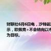 财联社6月6日电，沙特能源大臣表示，欧佩克+不会转向以市场份额为目标。