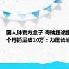 国人钟爱方盒子 奇瑞捷途旅行者9个月销量破10万：力压长城哈弗！