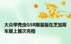 大众甲壳虫GSR限量版在芝加哥车展上首次亮相