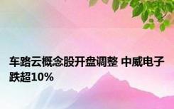 车路云概念股开盘调整 中威电子跌超10%