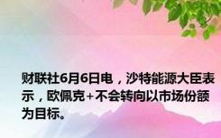 财联社6月6日电，沙特能源大臣表示，欧佩克+不会转向以市场份额为目标。