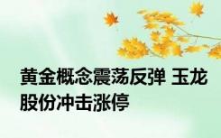 黄金概念震荡反弹 玉龙股份冲击涨停