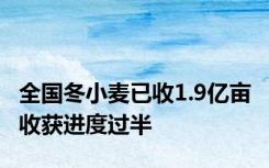 全国冬小麦已收1.9亿亩 收获进度过半